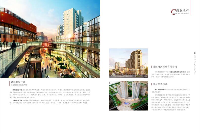 上海阜興實業集團畫冊設計圖片